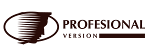 Versionprofesional Logo